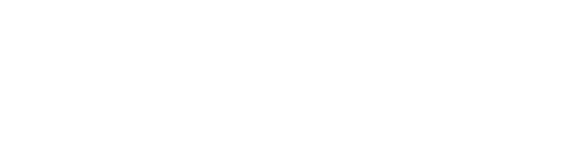 LVI Logo